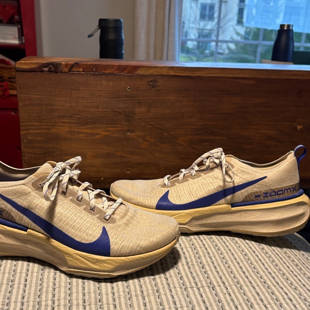 Nike ZoomX Invincible Run 3 sanddrift/concord color